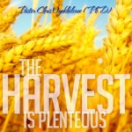 The Harvest Is Plenteous